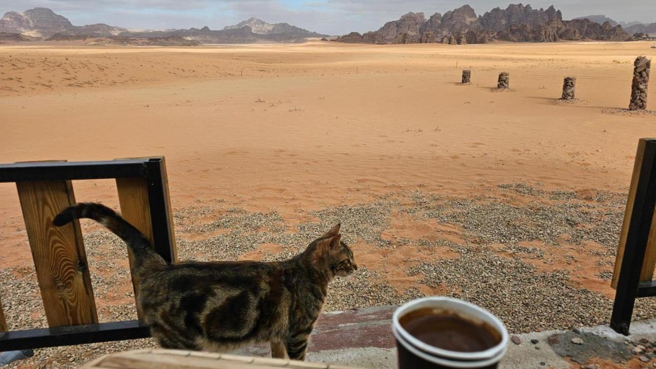 Готель Bedouin Life Camp Ваді-Рам Екстер'єр фото